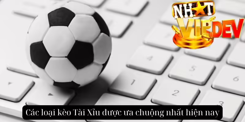 Các loại kèo Tài Xỉu được ưa chuộng nhất hiện nay