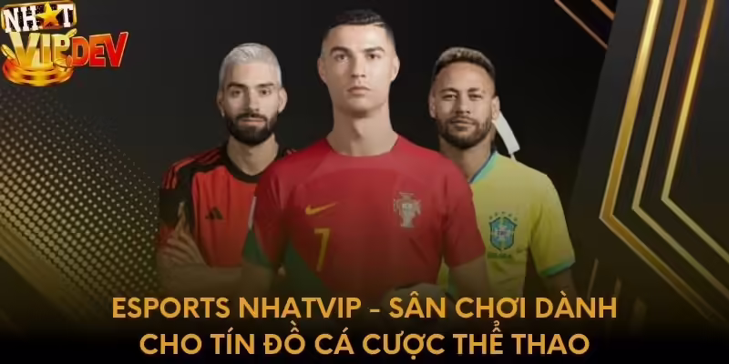 Esports Nhatvip - Sân chơi dành cho tín đồ cá cược thể thao