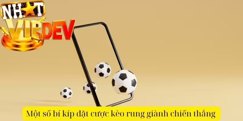 Một số bí kíp đặt cược kèo rung giành chiến thắng
