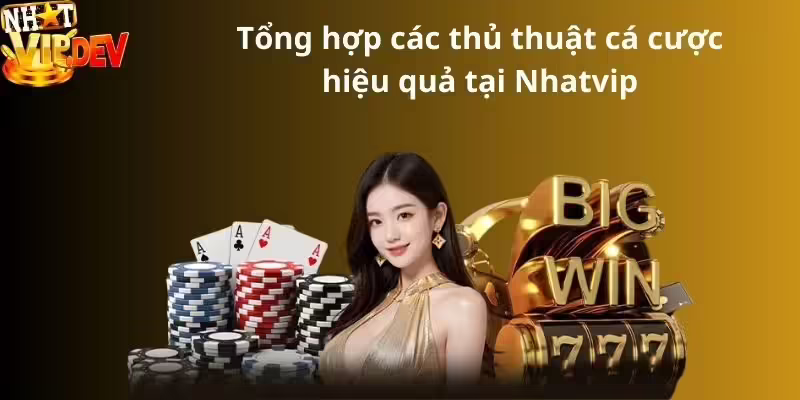 Tổng hợp các thủ thuật cá cược hiệu quả tại Nhatvip