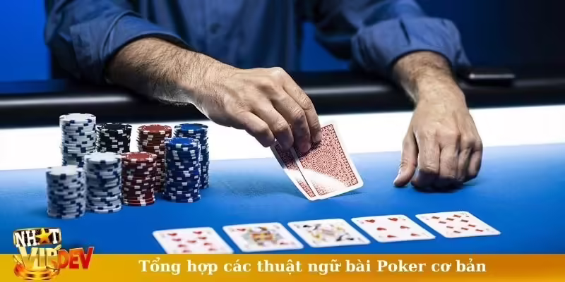 Tổng hợp các thuật ngữ bài Poker cơ bản