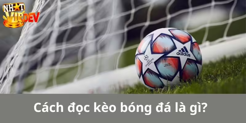 Cách đọc kèo bóng đá là gì?