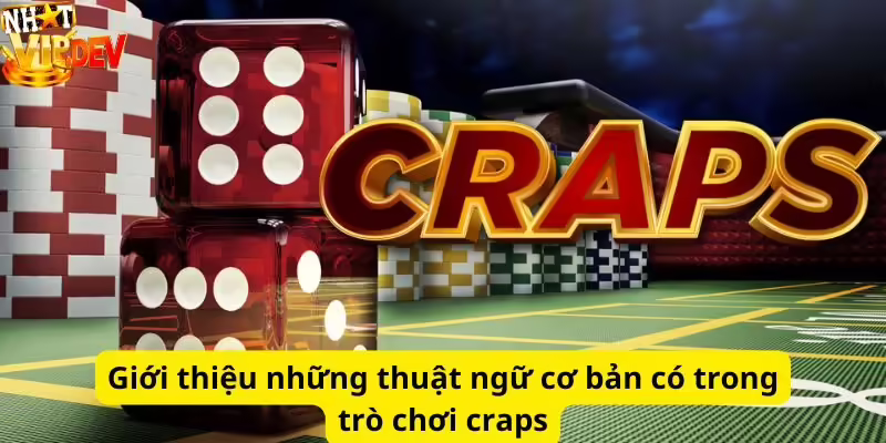 Giới thiệu những thuật ngữ cơ bản có trong trò chơi craps