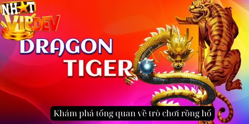 Khám phá tổng quan về trò chơi rồng hổ