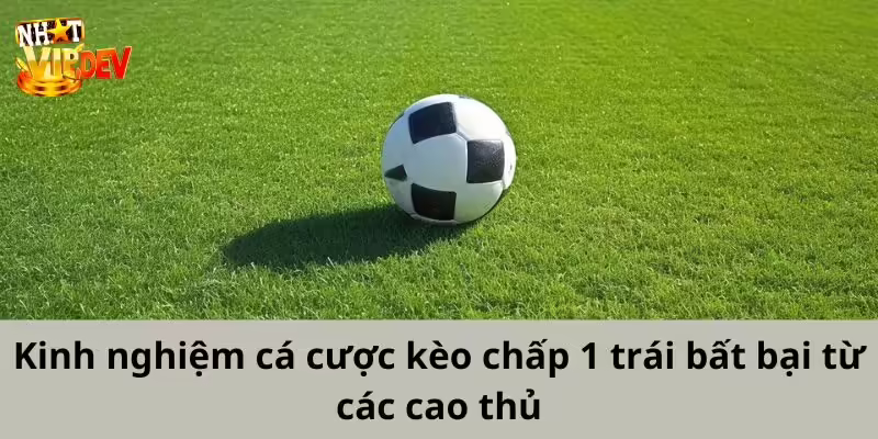 Kinh nghiệm cược kèo chấp 1 trái bất bại từ các cao thủ