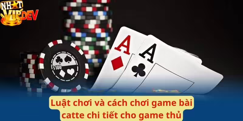 Luật chơi và cách chơi game bài catte chi tiết cho game thủ