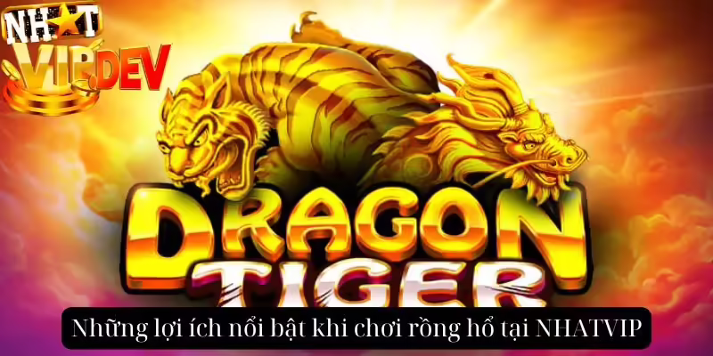 Những lợi ích nổi bật khi chơi rồng hổ tại NHATVIP