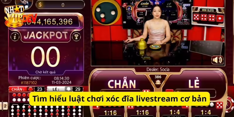 Tìm hiểu luật chơi xóc đĩa livestream cơ bản