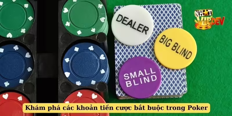 Khám phá các khoản tiền cược bắt buộc trong Poker