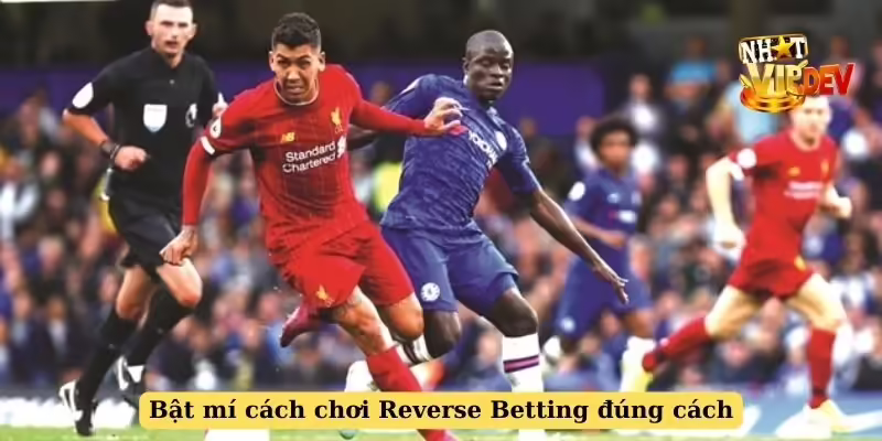 Bật mí cách chơi Reverse Betting đúng cách