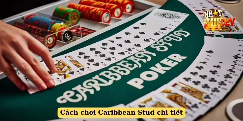 Cách chơi Caribbean Stud chi tiết
