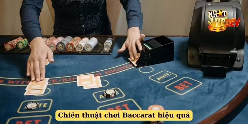 Chiến thuật chơi Baccarat hiệu quả