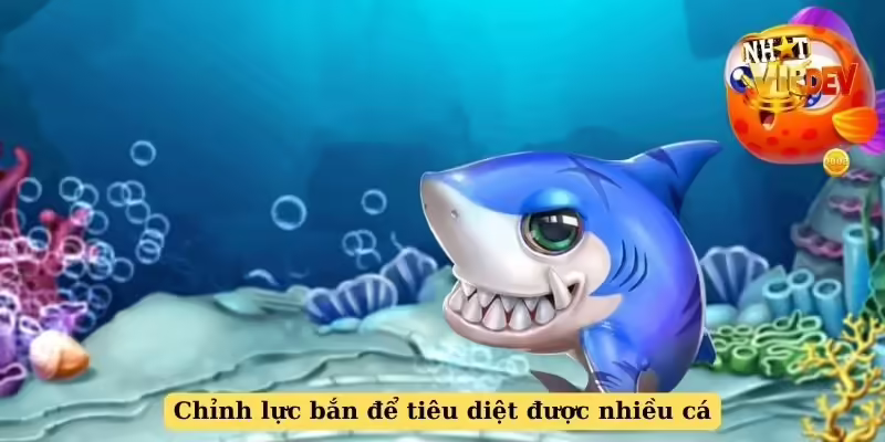 Chỉnh lực bắn để tiêu diệt được nhiều cá